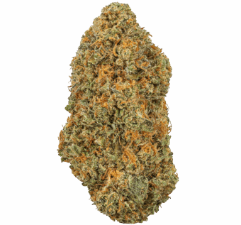 Cherry-Cake-Strain Cherry Cake Strain