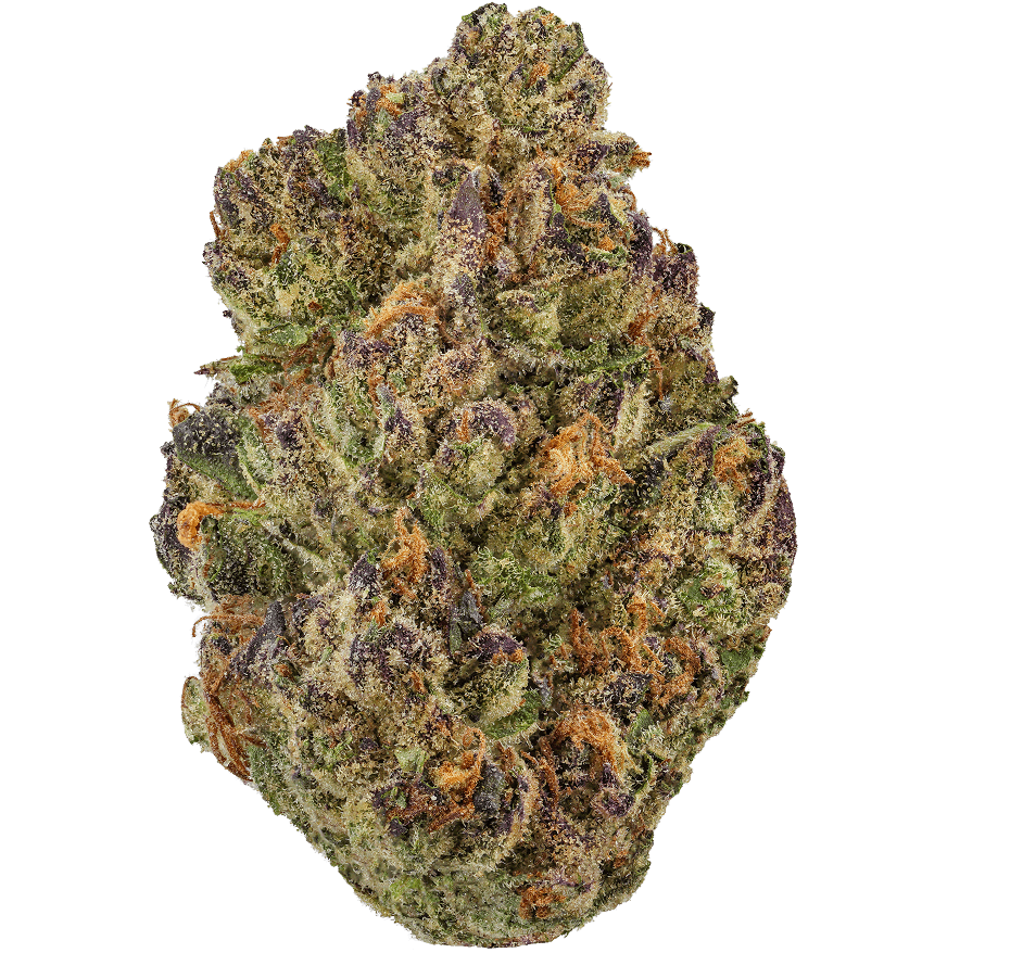 Italian-Ice-Strain (2) Italian Ice Strain