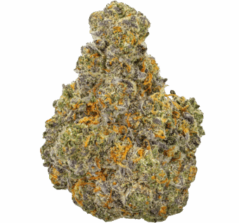 Italian Soda Strain