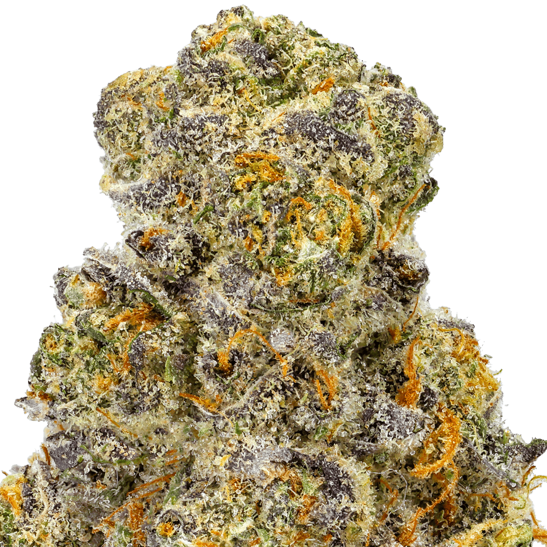 Italian Soda Strain