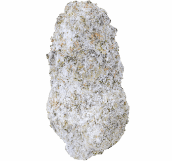 Jet Fuel Snow Caps Strain