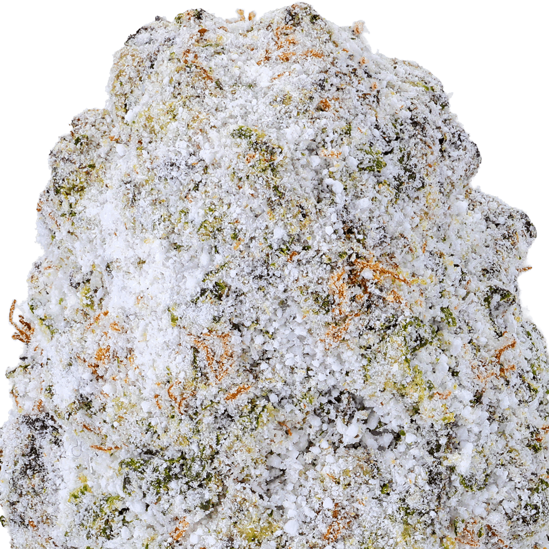 Jet Fuel Snow Caps Strain