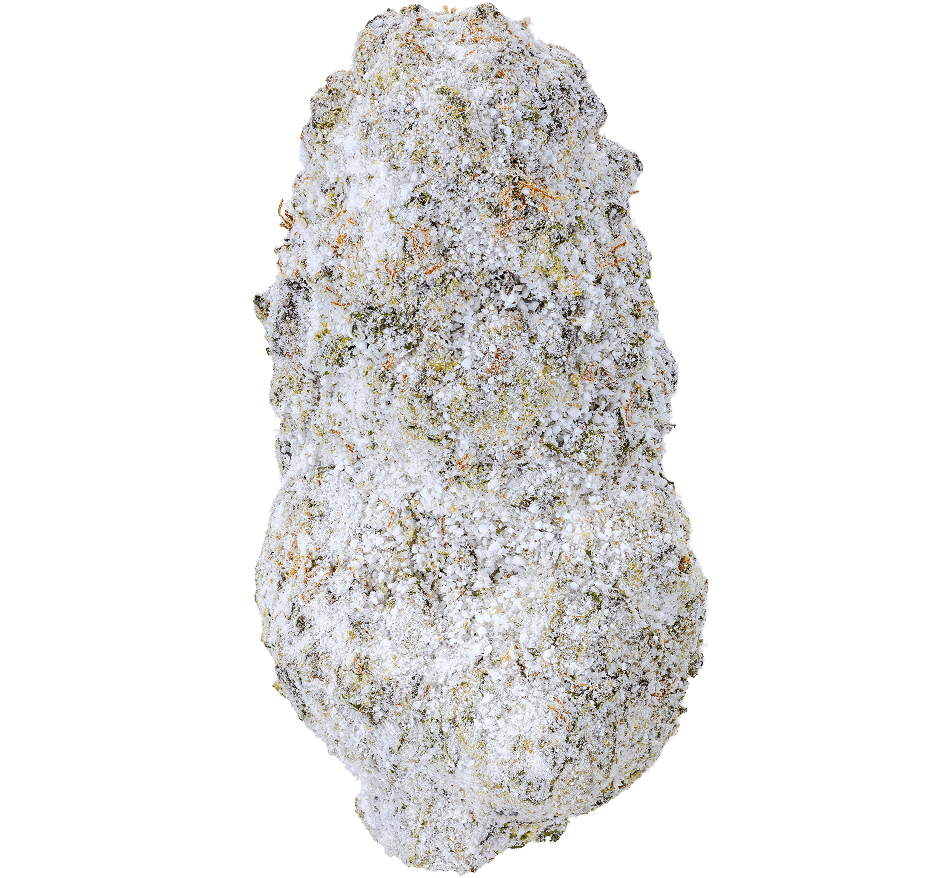 Jet Fuel Snow Caps Strain