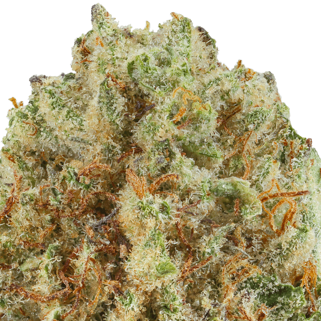 Kush Crasher Strain