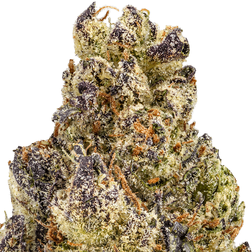 Lemon-Punch-Strain-macro Lemon Punch Strain