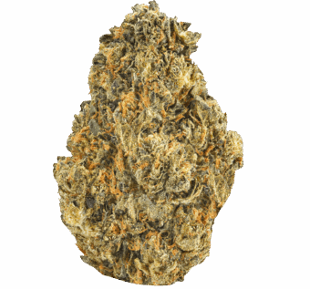 MAC-1-Strain (2) MAC 1 Strain