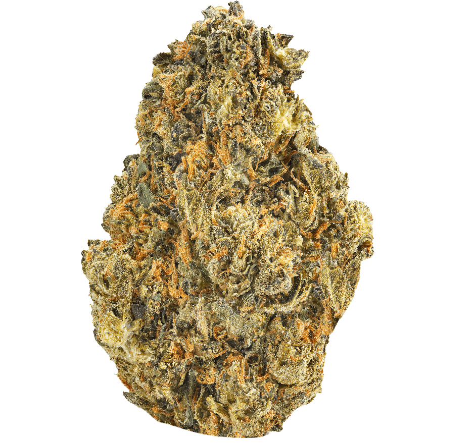 MAC-1-Strain (2) MAC 1 Strain