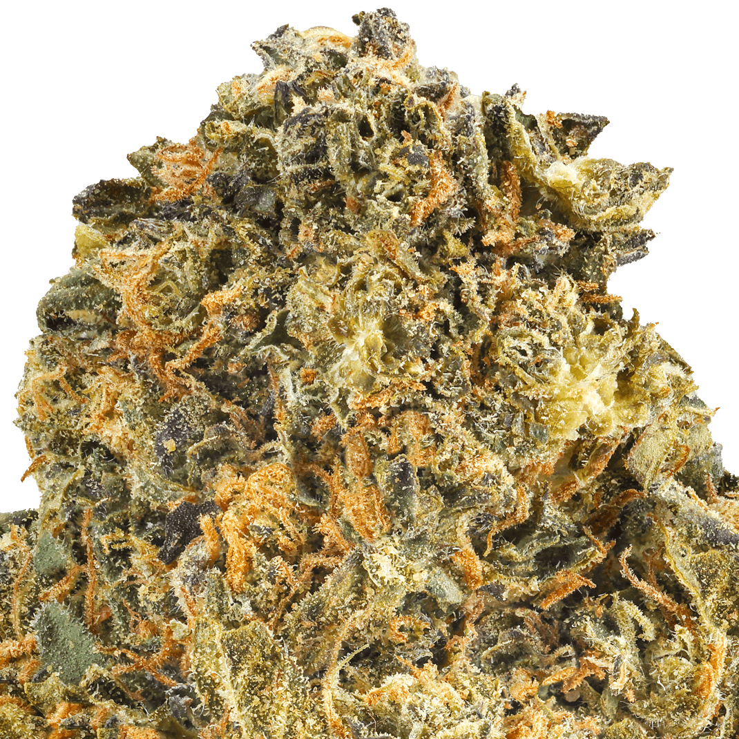 MAC-1-Strain-Macro (1) MAC 1 Strain