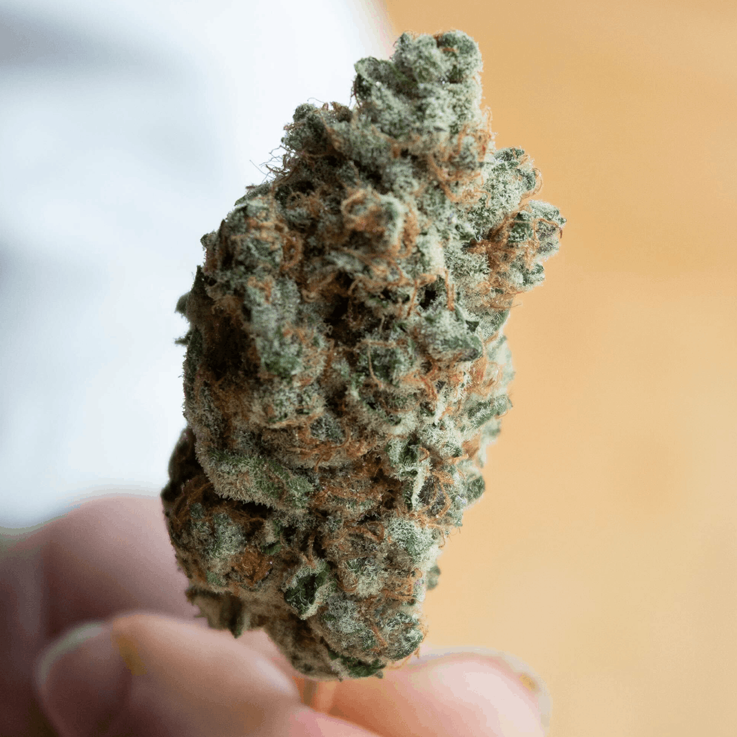 Super Boof THCA Live Resin Vape - Nick's Nugs