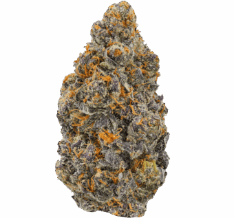 Nightmare Cookies Strain