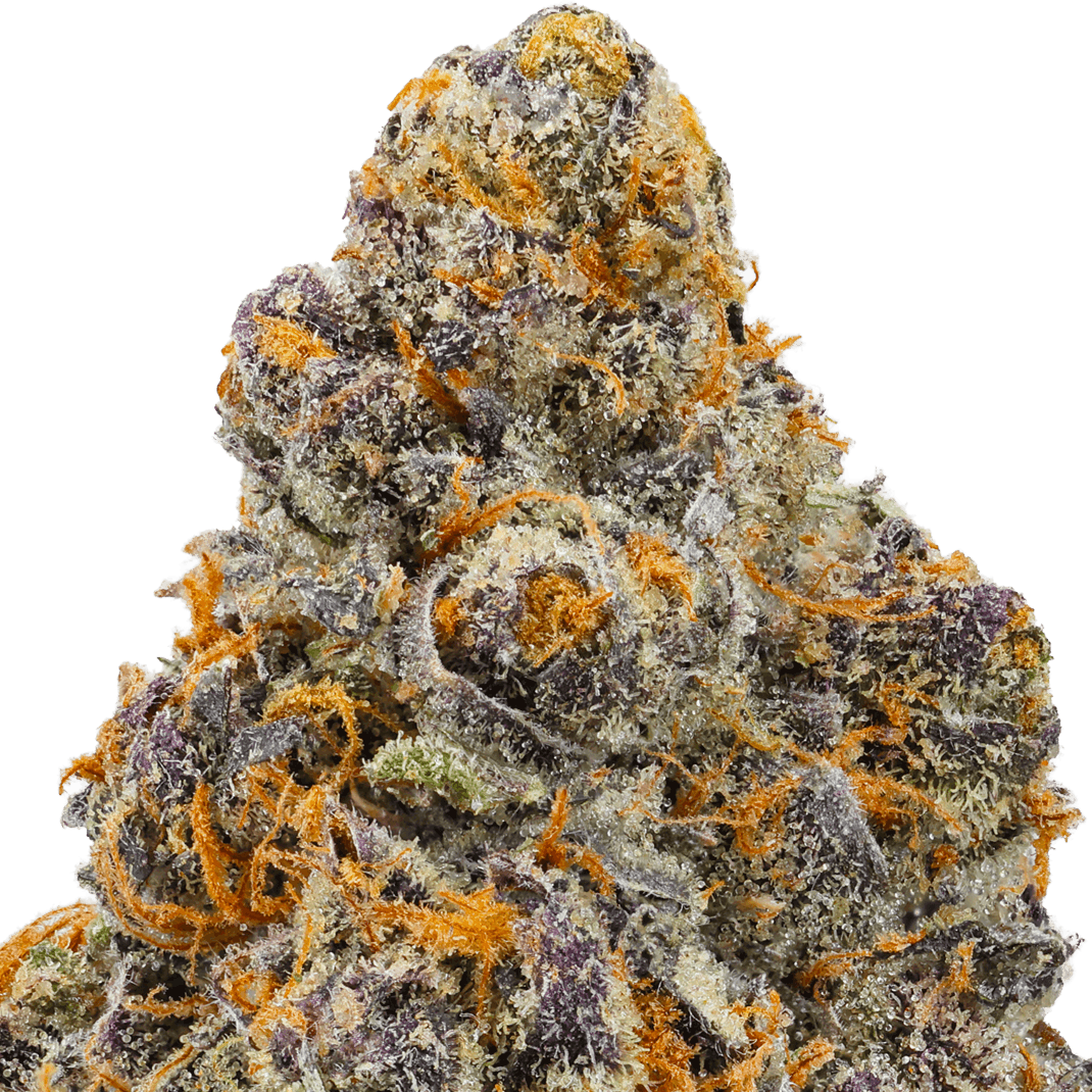 Nightmare Cookies Strain
