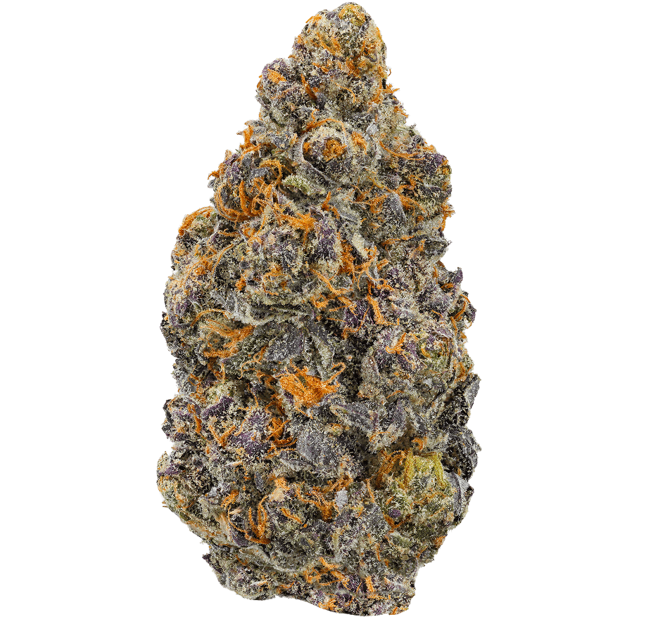 Nightmare Cookies Strain