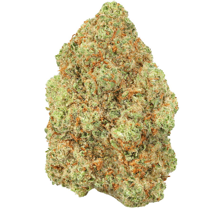 Purple Gushers Strain