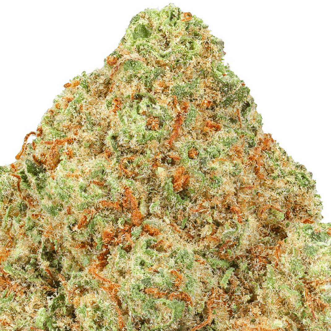 Purple Gushers Strain