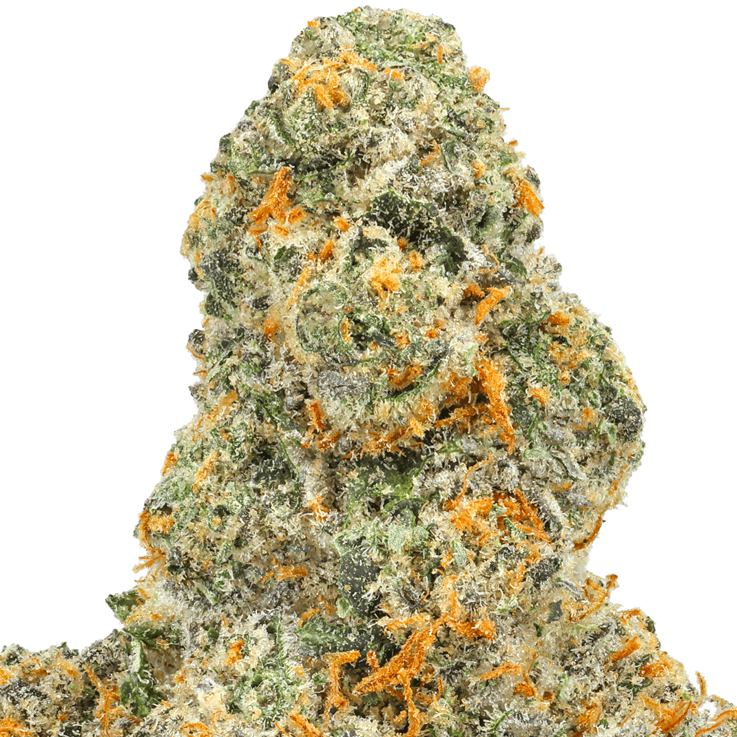 Rum Cake Strain