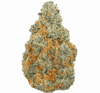 Sherbacio Strain