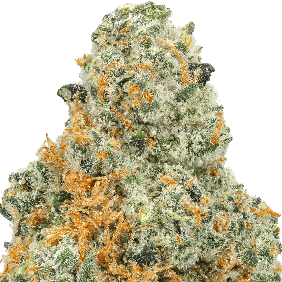 Sherbacio Strain