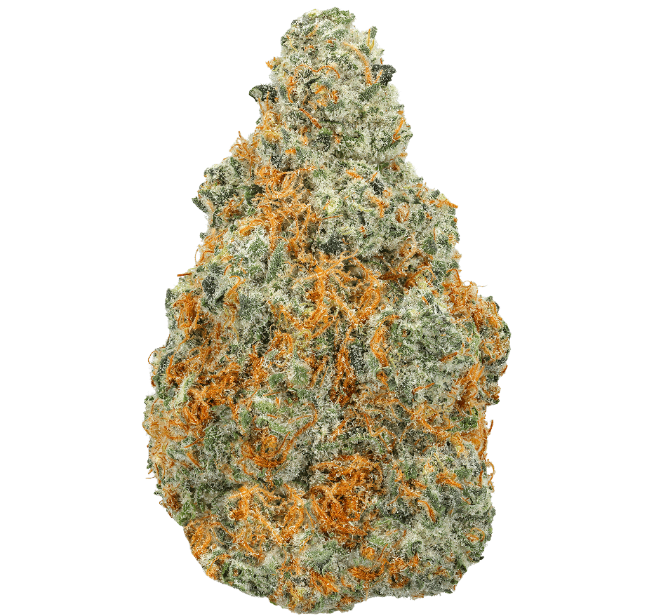 Sherbacio Strain