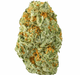 Super Lemon Haze Strain