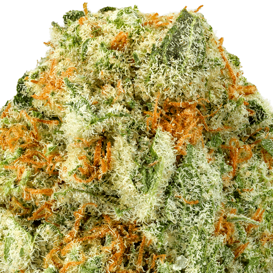 Super Lemon Haze Strain