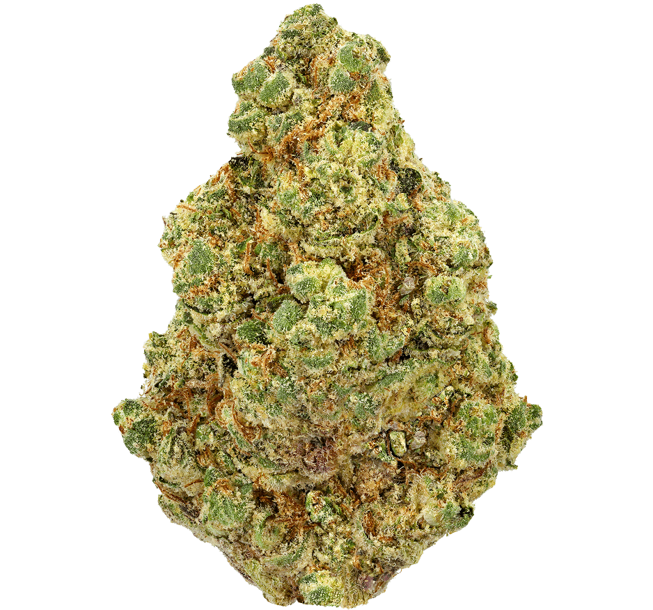 White Widow Strain White Widow Strain