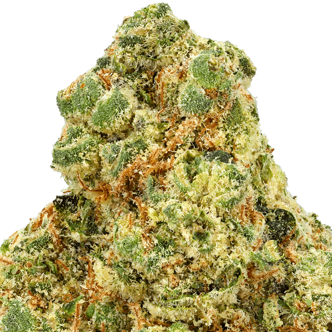 White-Widow-Strain-macro (1) White Widow Strain