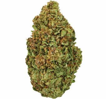 Yellow-Cake-Strain (1) Yellow Cake Strain