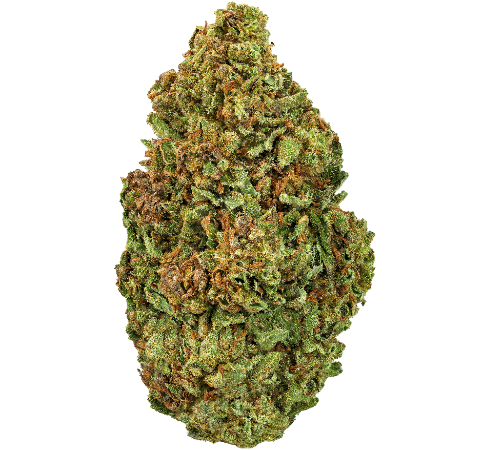 Yellow-Cake-Strain (1) Yellow Cake Strain