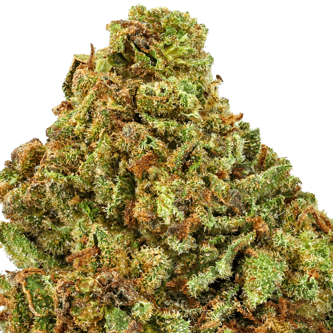 Yellow-Cake-Strain-macro (1) Yellow Cake Strain