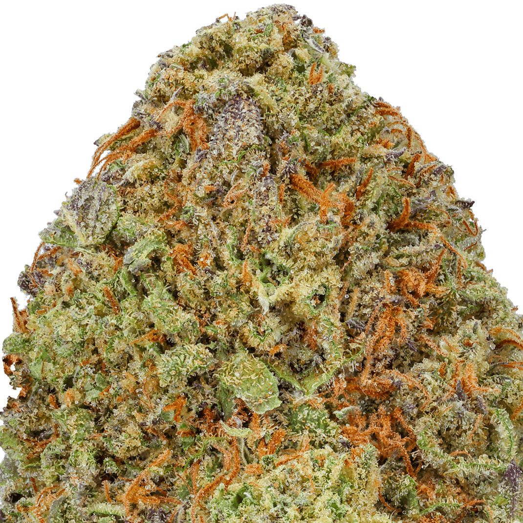 Yellow-Cake-Strain-macro Yellow Cake Strain