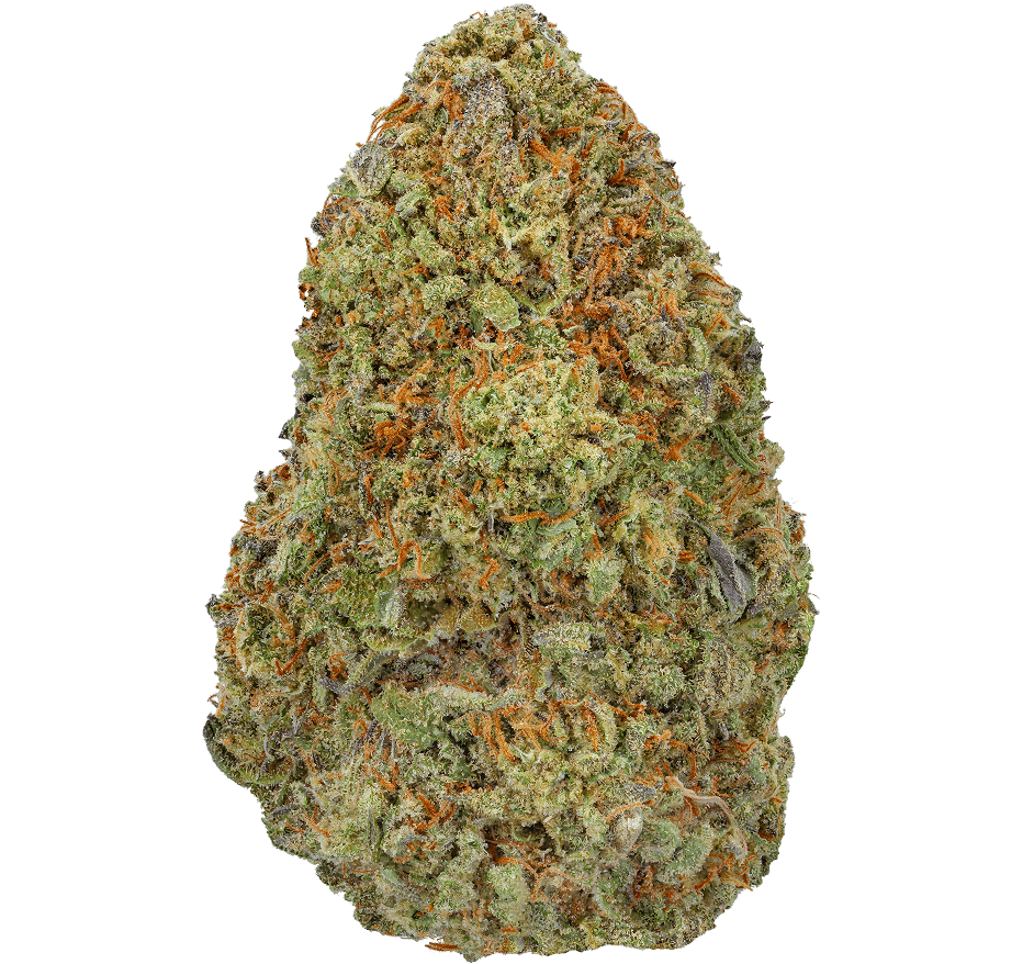 Yellow-Cake-Strain Yellow Cake Strain