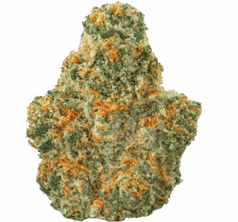 Zero Gravity Runtz Strain