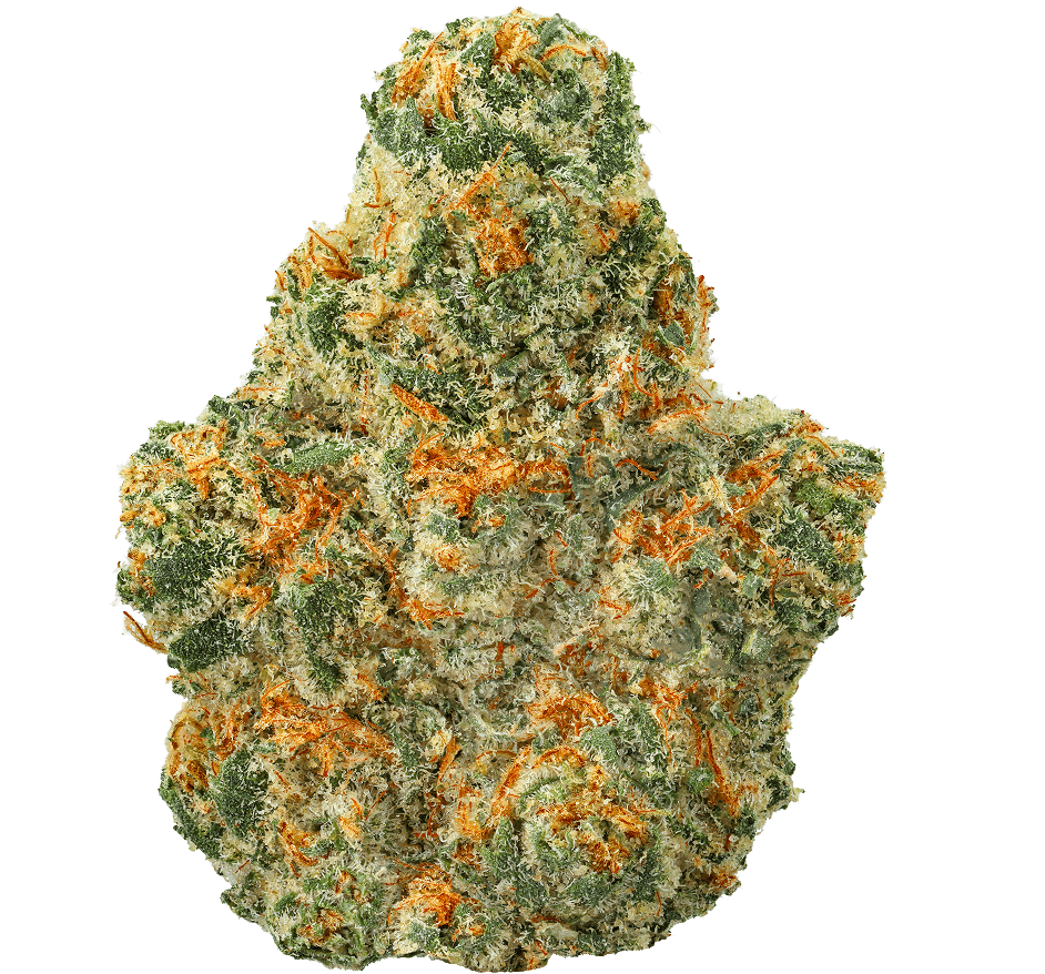 Zero Gravity Runtz Strain