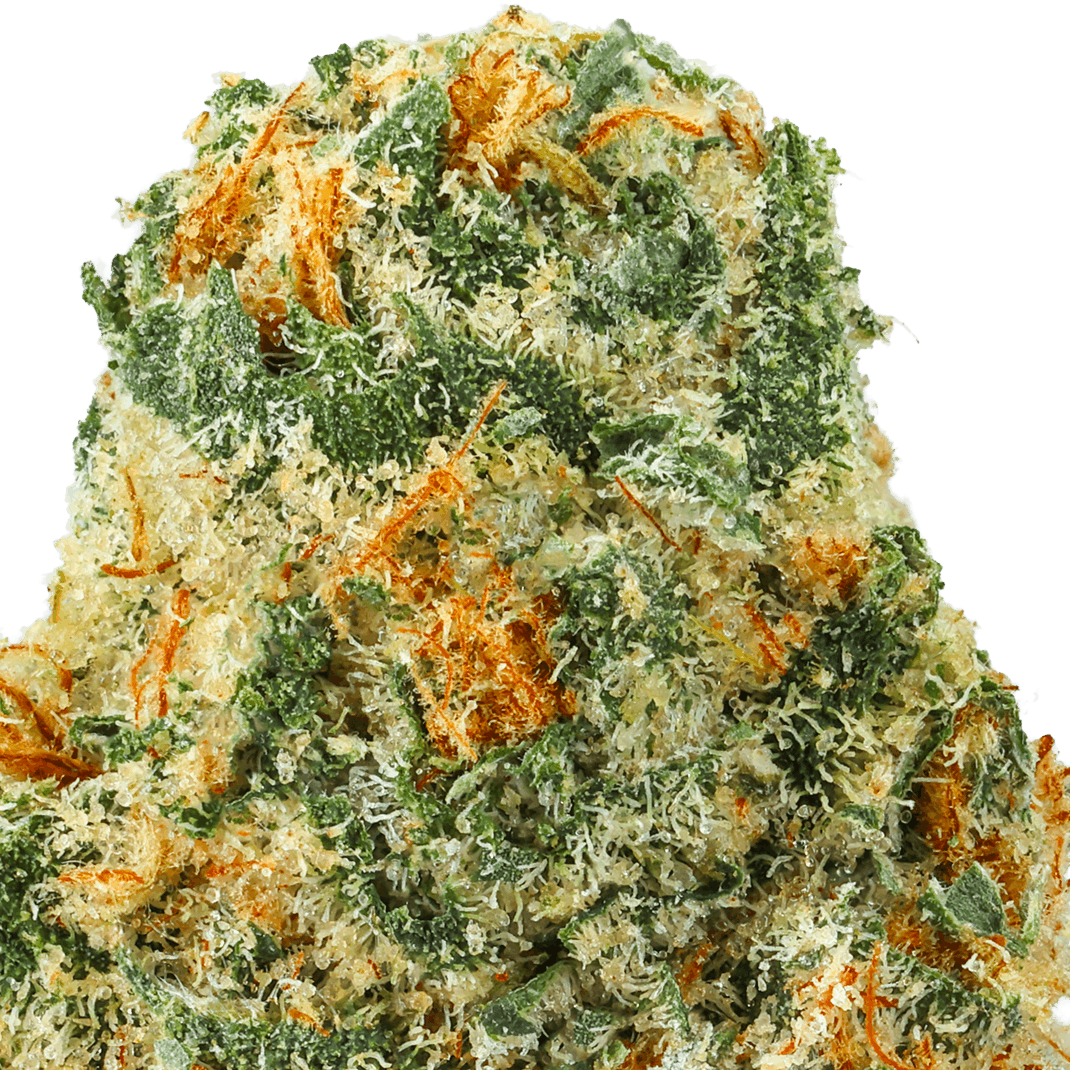 Zero Gravity Runtz Strain