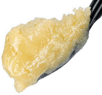 Banana Horchata THCA Live Rosin