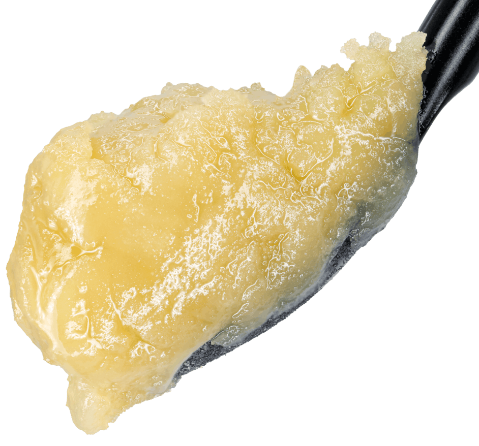 Banana Horchata THCA Live Rosin