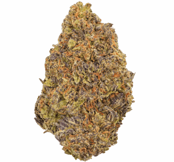 Blue Nerdz Strain