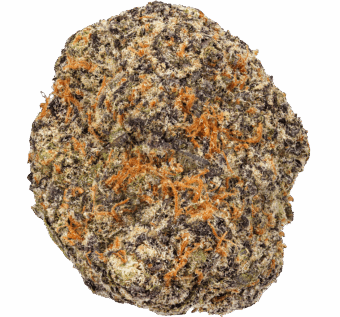 Blueberry Cheesecake Strain