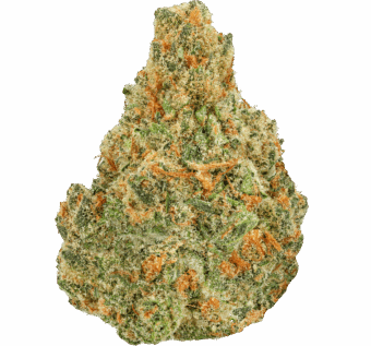 Blueberry-Skunk-Strain (1) Blueberry Skunk Strain