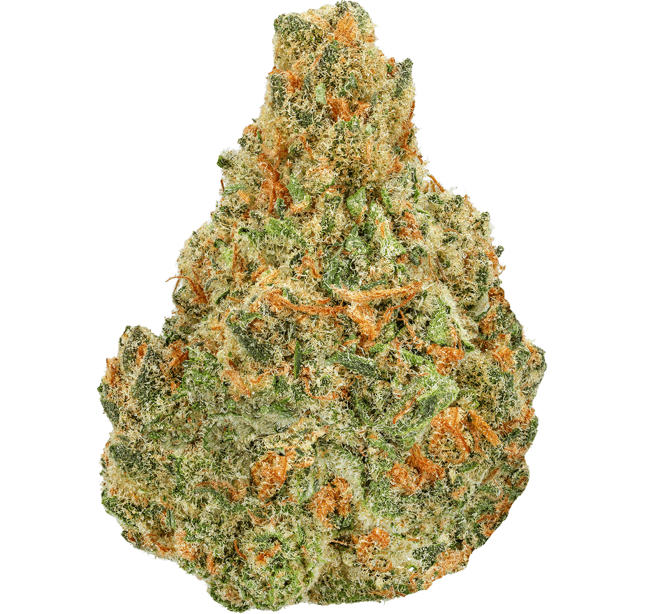 Blueberry-Skunk-Strain (1) Blueberry Skunk Strain