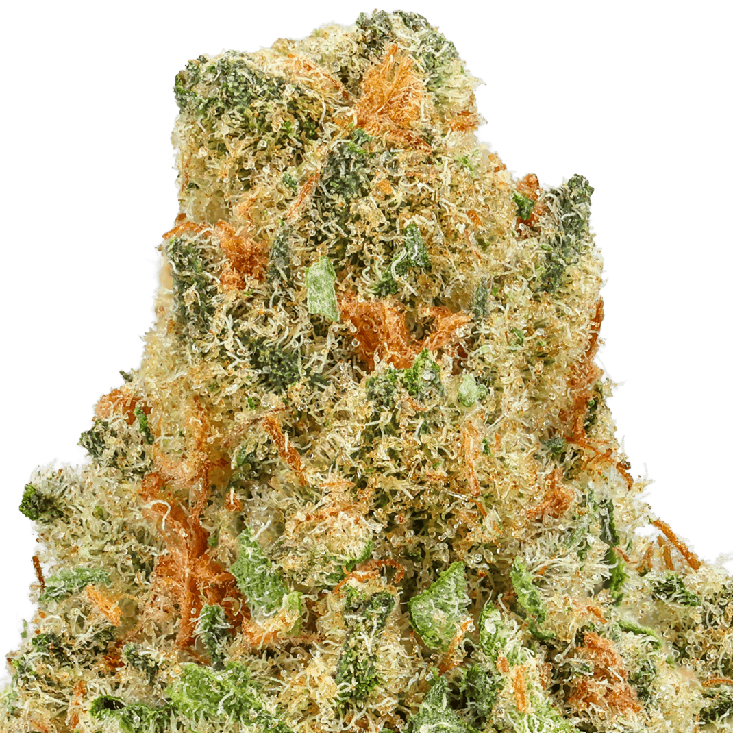 Blueberry-Skunk-Strain-macro (1) Blueberry Skunk Strain