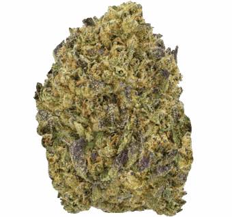 Burger-Breath-Strain (1) Burger Breath Strain