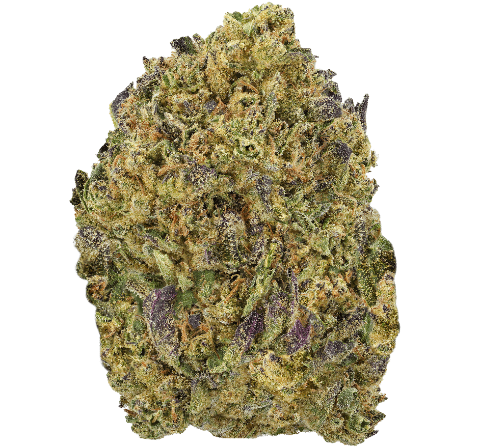 Burger-Breath-Strain (1) Burger Breath Strain