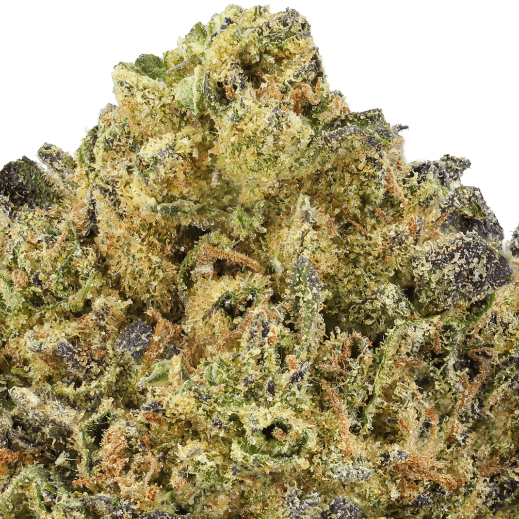 Burger-Breath-Strain-macro (1) Burger Breath Strain