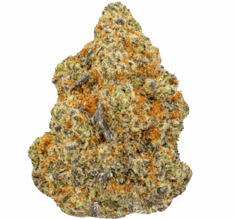 Caked Up Cherries Strain