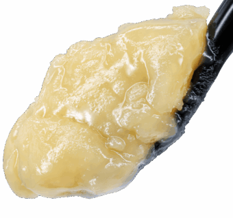 Candy Apple THCA Live Rosin