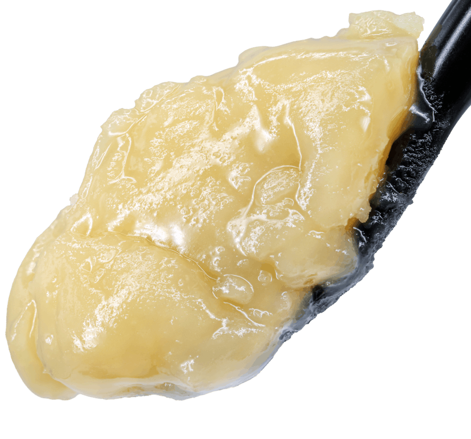 Candy Apple THCA Live Rosin