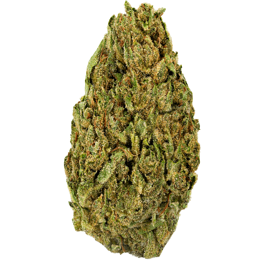 GG4 Strain