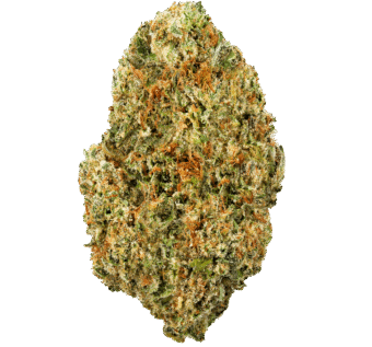 Gumball Strain
