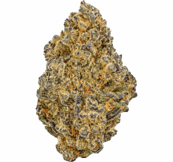 Ice Cream Cookies Strain